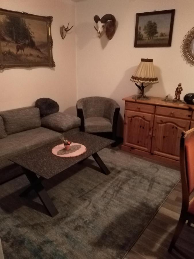 Ferienhaus Schulenberg Villa Фридрихсбрун Екстериор снимка